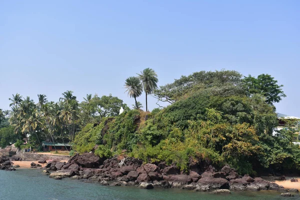 Vue Sur Verdure Juste Bord Océan Dona Paula Goa — Photo