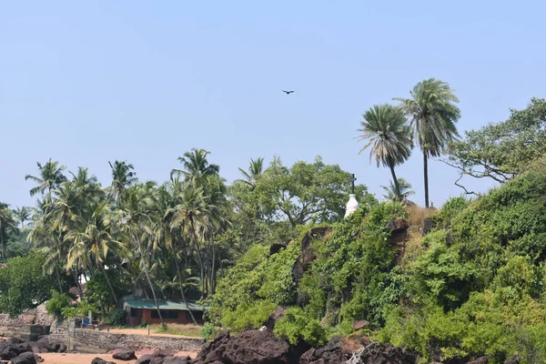 View Green Trees Just Ocean Goa — Stock Photo, Image