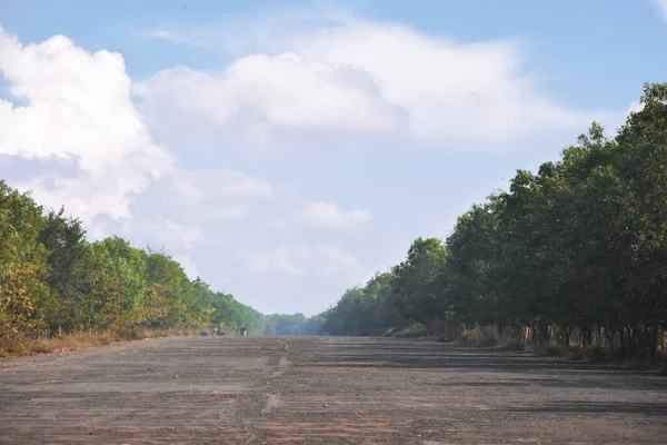 Road Forest Beautiful Clouds — Stock Photo, Image