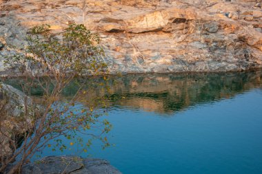 Mavi sularda güzel bir yansıma. Yanında da küçük bir bitki yetişiyor.