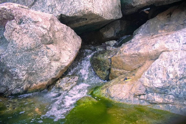 Voda Tekoucí Skal Zeleným Mechem Stranách — Stock fotografie