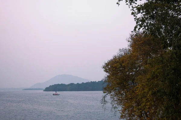 背景为湖泊的前景中美丽的红树的选择性焦点 — 图库照片
