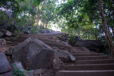 Boş merdivenler ormanın arasındaki tepeye çıkıyor.