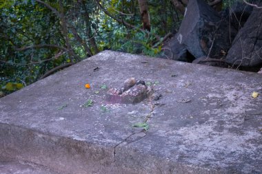 Dini bir yere yerleştirilmiş bir Hindu tanrısının ayak izi.