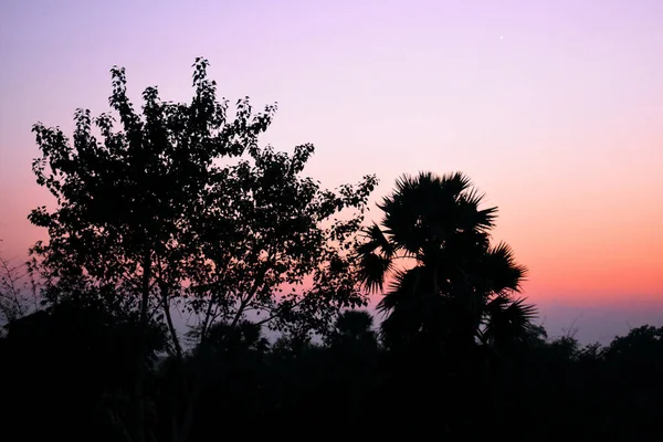 Una Hermosa Mañana Amanecer Con Árboles Primer Plano —  Fotos de Stock