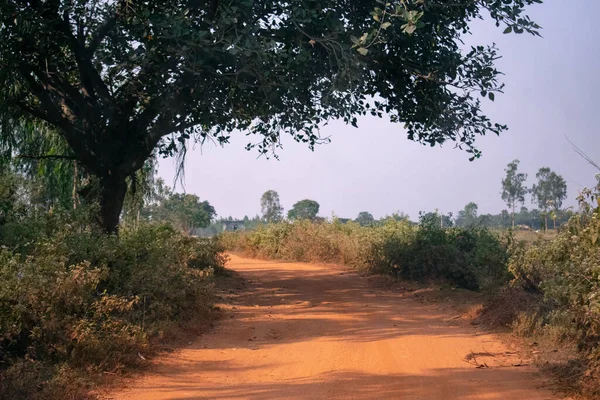 Camino Que Atraviesa Los Campos Pueblo — Foto de Stock