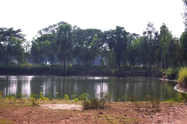 Uma Lagoa Com Floresta Lado Dela — Fotografia de Stock