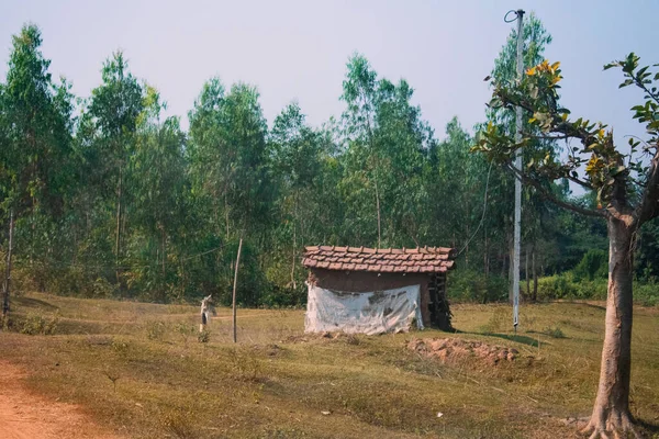 Small Mud Hut Build Field Just Forest — Stock Photo, Image