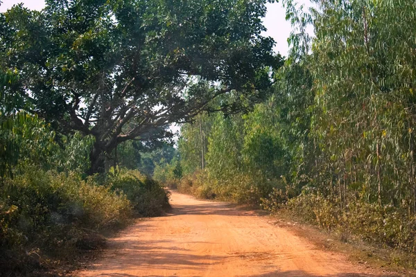 Camino Pueblo Fangoso Vacío Que Mueve Entre Bosque Verde — Foto de Stock