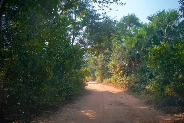 ถนนท อยพ ฒนาของหม านระหว างป — ภาพถ่ายสต็อก