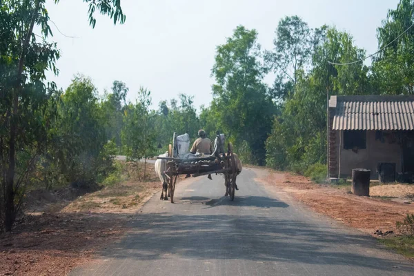Image of a Bullock cart moving in a road captured from behind.