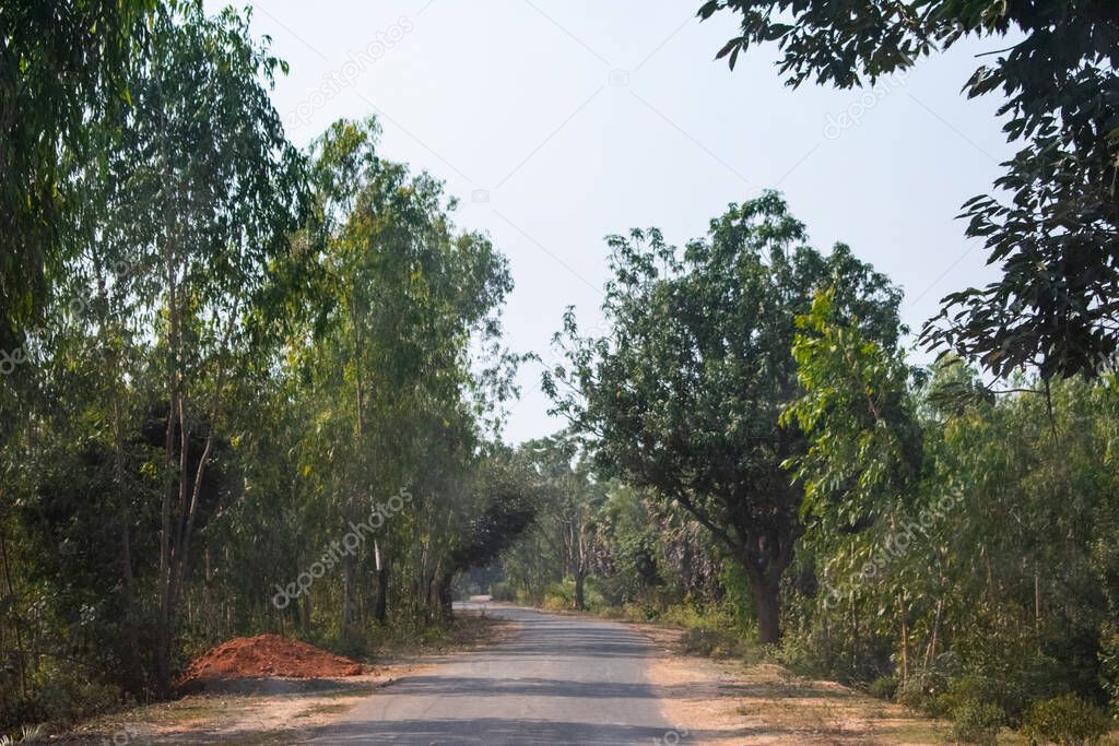 a empty road between a dark forest in Bankura