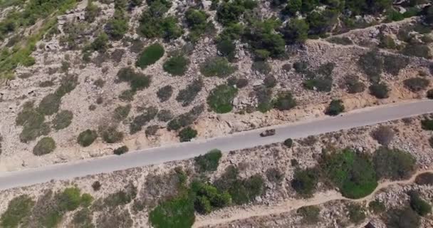 Drone Flygning Vid Middagssol Över Palma Mallorca Efter Bil Coast — Stockvideo