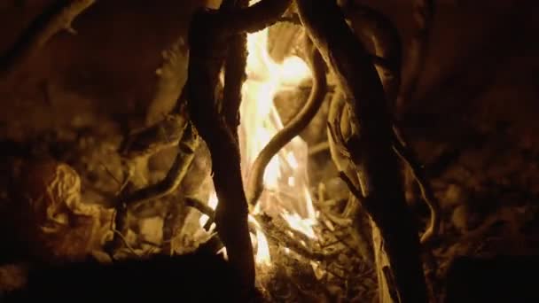 Nahaufnahme Brennenden Brennholzes Lagerfeuer Bei — Stockvideo