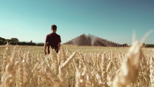 长大成人站在美丽的麦田里朝向现代金字塔 — 图库视频影像
