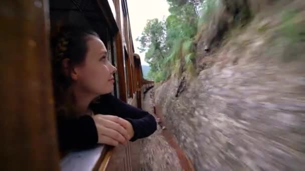 Jovem Menina Atraente Viajando Trem Assistindo Paisagem Durante Viagem — Vídeo de Stock