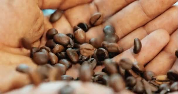 Manliga Händer Kontrollera Rostade Kaffebönor Hand Med Kaffe Bakgrund Slow — Stockvideo