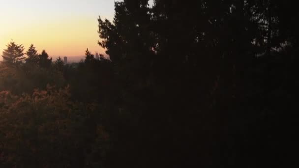 Imagens Aéreas Cinematográficas Frankfurt Skyline Durante Pôr Sol Vista Panorâmica — Vídeo de Stock