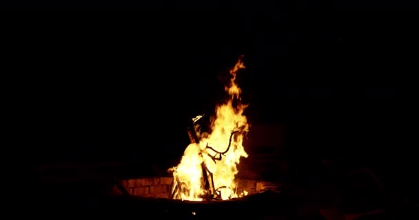 Campfire Burning Night Slow Motion 비디오 클립