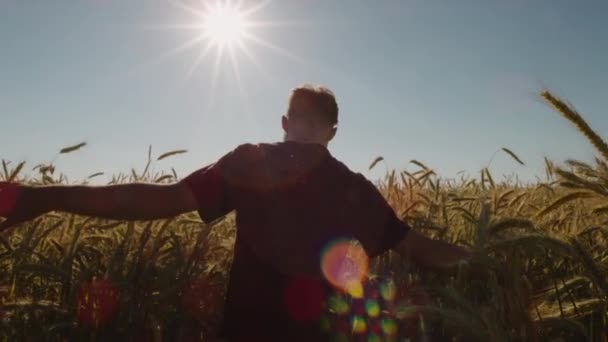 Erwachsene Spazieren Durch Wunderschönes Weizenfeld Mit Blauem Himmel Und Epischem — Stockvideo