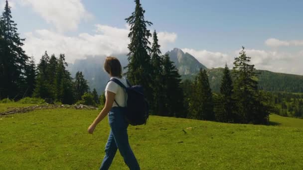 ザルツブルクオーストリア 若い女性のハイキング山 美しい風景 スローモーション — ストック動画
