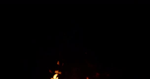 Campfire Brinner Natten Spray Gnistor Slow Motion — Stockvideo