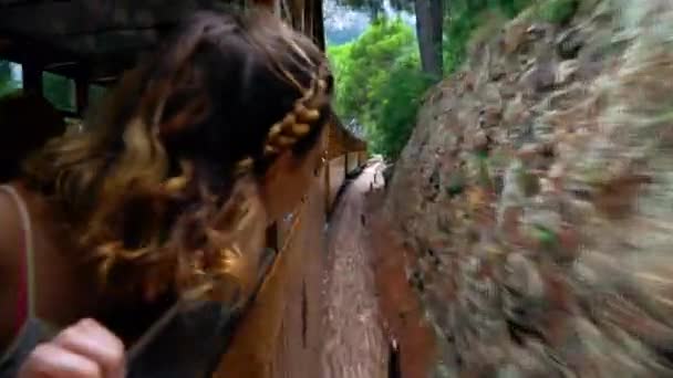 Młoda Atrakcyjna Dziewczyna Podróżująca Pociągiem Oglądająca Krajobraz Podczas Podróży — Wideo stockowe