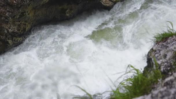 Salzburgerland Αυστρία Ορεινό Ποτάμι Που Ρέει Μέσα Από Ravine Lammerklamm — Αρχείο Βίντεο