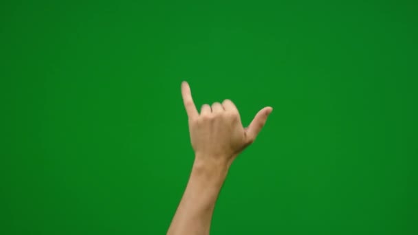 9種類の手のジェスチャーのセット緑の画面上の平和ロックロール金属サーフ — ストック動画