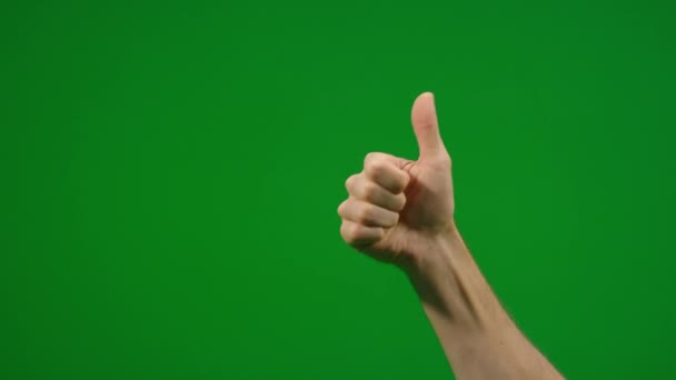 Set Different Thumbs Gestures Fast Slow Green Screen — Stock Video