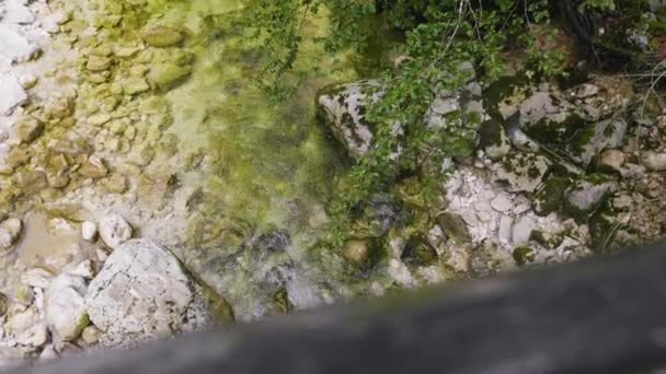 Salzburgerland Avusturya Ahşap Köprü Elementleriyle Akan Dağ Nehrinin Üst Manzarası — Stok video