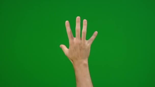 Set Different Full Hand Grab Gestures Fast Slow Green Screen — 비디오