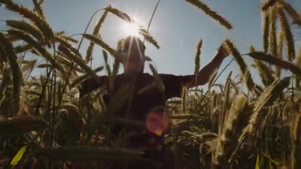 Adulto Belo Campo Trigo Levantando Mãos Com Céu Azul Luz — Vídeo de Stock