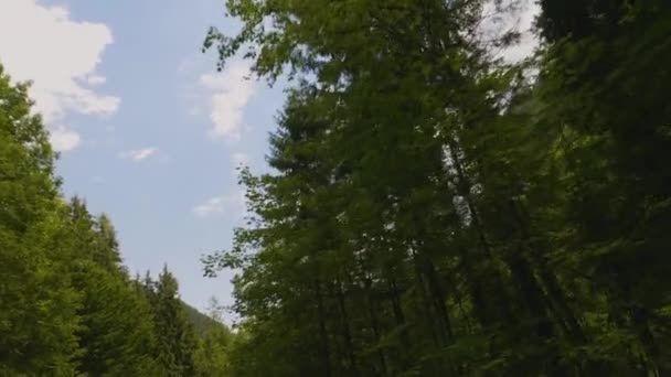 Австрия Автомобиль Путешествующий Горам Лесам Медленное Движение — стоковое видео