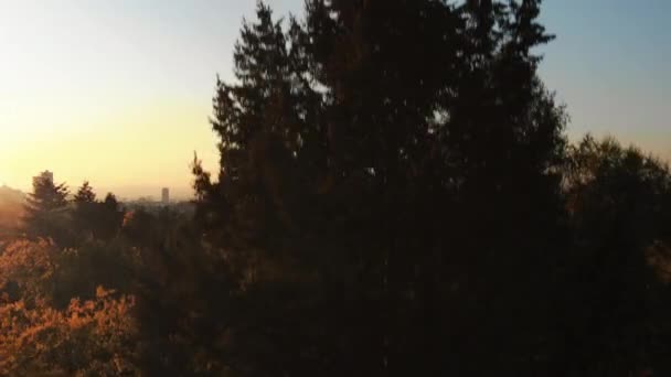 Filmische Luftaufnahmen Der Frankfurter Skyline Bei Sonnenuntergang Panoramablick — Stockvideo