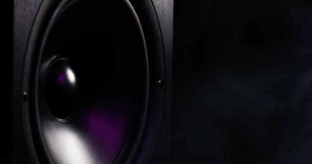 Closeup Άποψη Κινείται Υπο Woofer Μουσικά Ηχεία Δόνηση Μεμβράνη Πολύχρωμο — Αρχείο Βίντεο