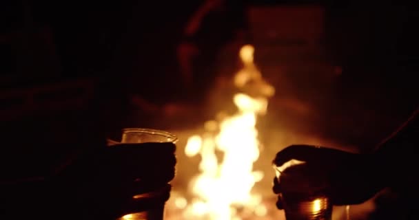 Dwóch Mężczyzn Kibicuje Piwem Przy Ognisku Zwolnionym Tempie — Wideo stockowe