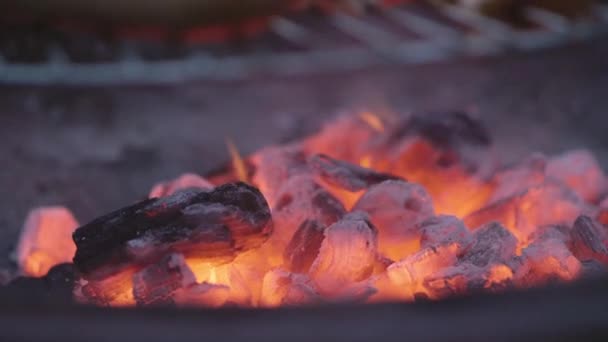 Hete Houten Kolen Een Barbecue — Stockvideo