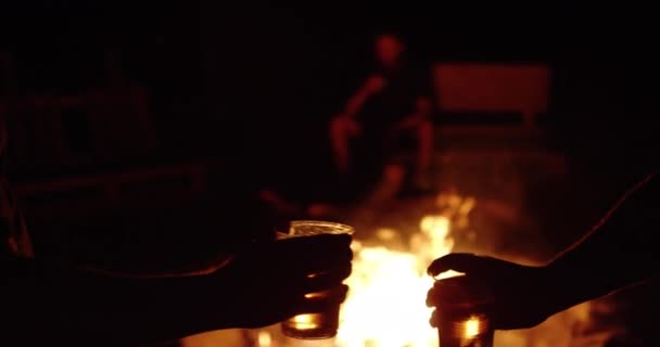 Dwóch Mężczyzn Kibicuje Piwem Przy Ognisku Zwolnionym Tempie — Wideo stockowe