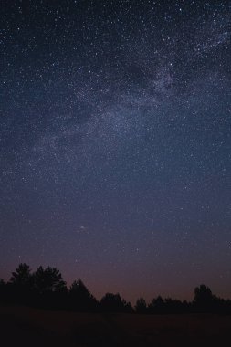 Mavi Samanyolu ile manzara. Yıldızlı gece gökyüzü. Açık bir gecede Ukrayna 'da çekilen güzel samanyolu