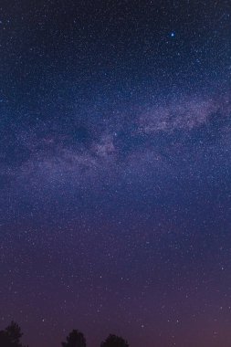 Mavi Samanyolu ile manzara. Yıldızlı gece gökyüzü. Açık bir gecede Ukrayna 'da çekilen güzel samanyolu