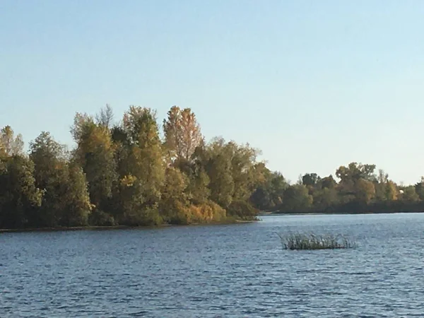 Krajobraz Powierzchnia Wody Zarośla Rzeczne Błękitne Niebo Drzewa Rzece Jesienna — Zdjęcie stockowe