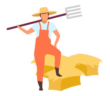 Düz vektör illüstrasyonu hasat ediliyor. Beyaz arka planda yabalı çizgi film karakteri olan bir tarım işçisi. Tulumlu çiftçi samanlarla çalışıyor. Sonbahar hasadı, saman istifleme ve depolama