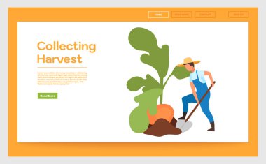 Hasat iniş sayfası şablonu alınıyor. Sebze ekinleri yetiştirme web sitesi düz çizimler ile arayüz fikri. Çevre ürünleri ana sayfada büyüyor. Web afişi, web sayfası çizgi film kavramı