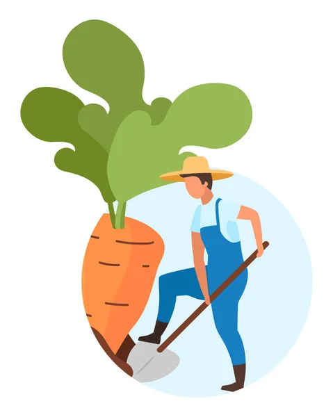 Akar tanaman panen ikon konsep datar. Pekerja pertanian, petani menggali wortel. Stiker panen musim gugur, clipart. Hasil pertanian organik, sayuran eko, dan pertanian. Ilustrasi kartun yang terisolasi - Stok Vektor