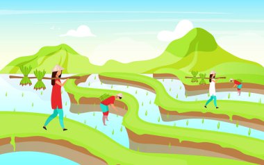 Rice plantation flat vector illustration. Indonesian workers. Food plants. Asian farming. Hard working women cartoon characters. Thailand traditional agricultutre. Rice fields background clipart