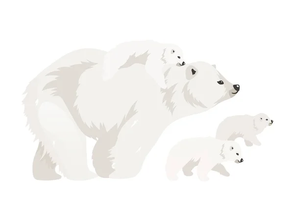 Jegesmedve család lapos színű vektor illusztráció. Észak-vadon élő, sétáló kölykök. Tengeri emlős anya babával. Arctic állat elszigetelt rajzfilm karakterek fehér háttér — Stock Vector