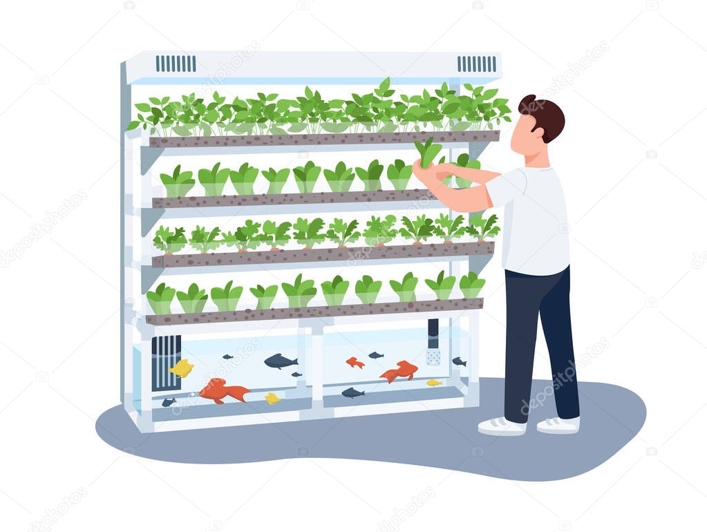 Man and domestic greenhouse, gardener flat color vector faceless character. Plants and fishes care, greenery growing isolated cartoon illustration for web graphic design and animation