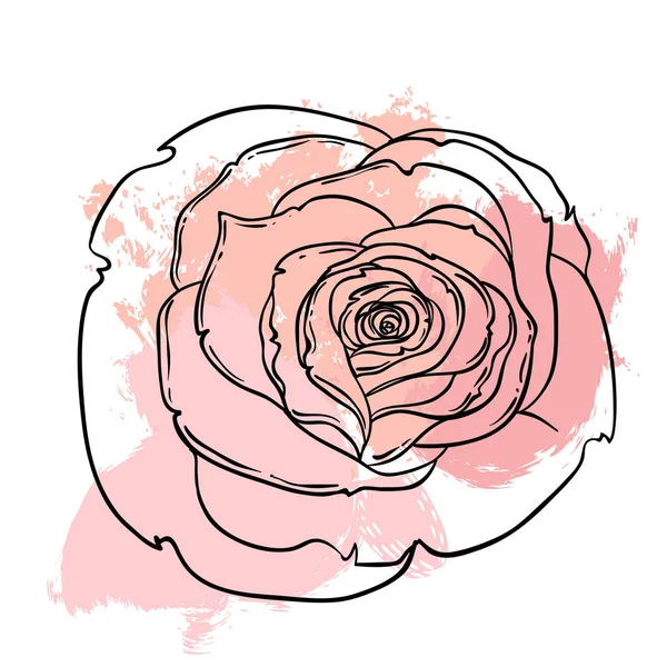 美丽的玫瑰花束上米色垃圾背景画。手 — 图库矢量图片