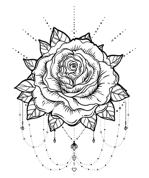 Dream catcher med ros blomma, detaljerad vektor illustration iso — Stock vektor